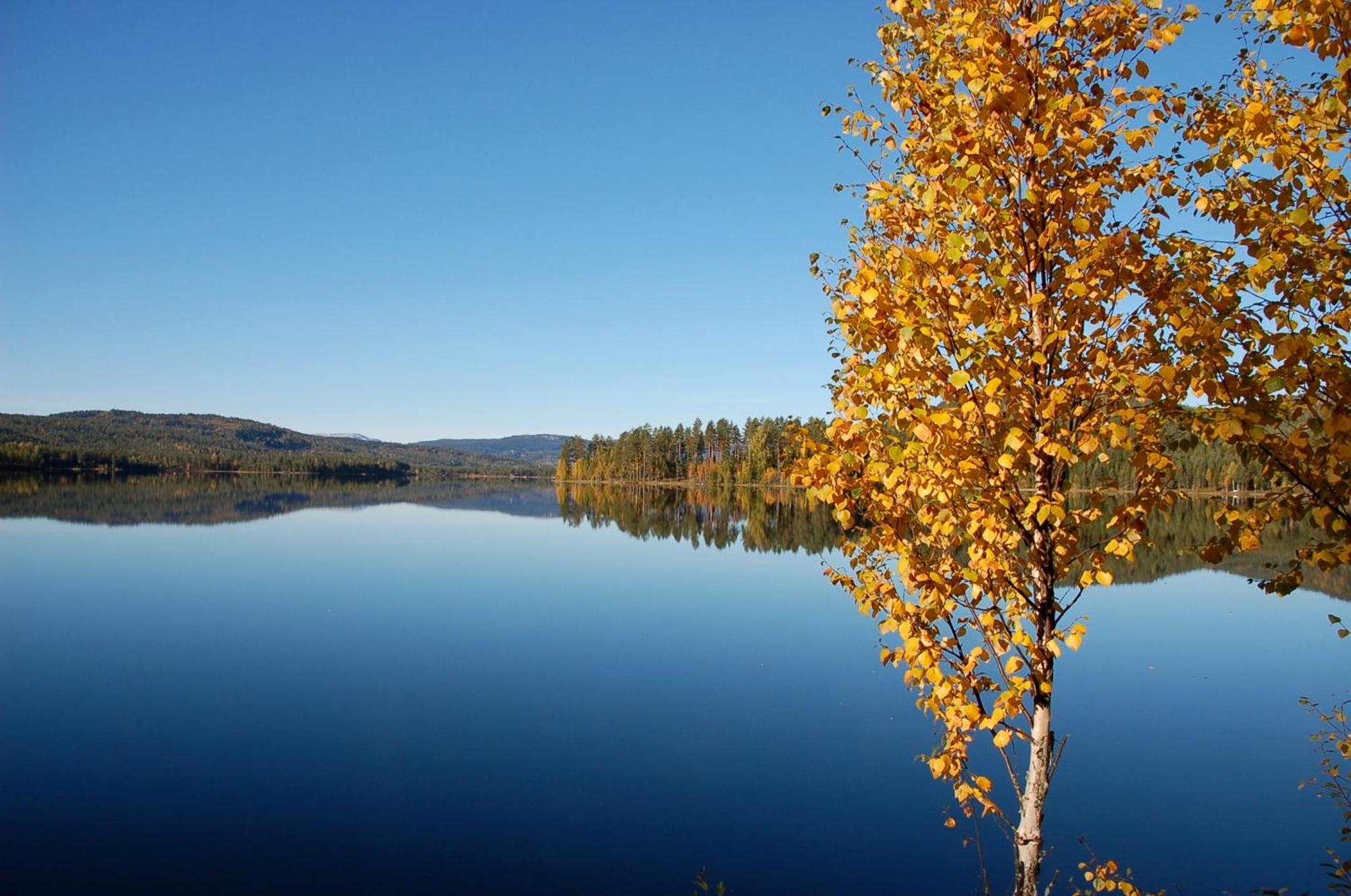 Halvorseth Villa Prestfoss Luaran gambar